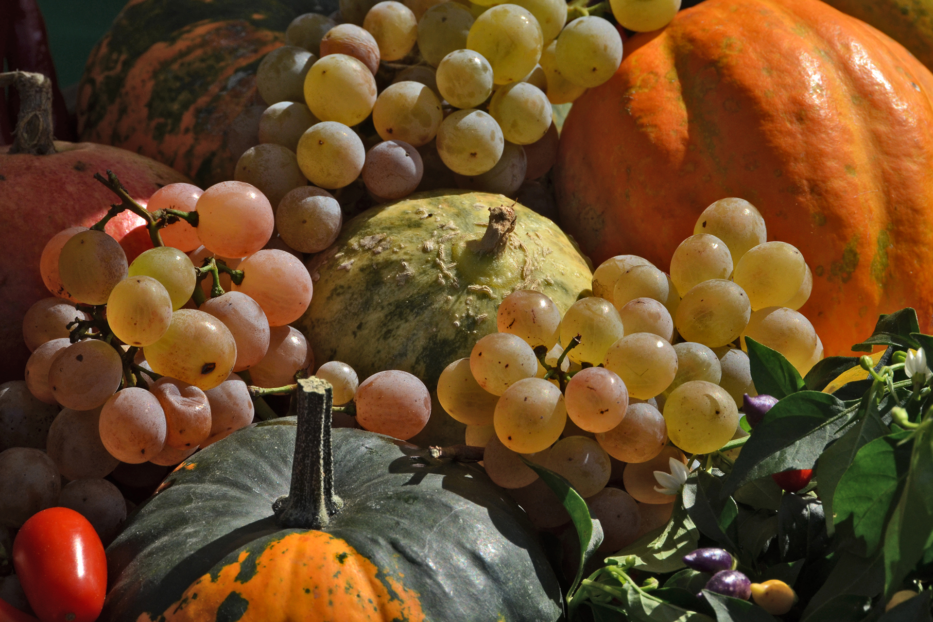 Agro-food quality products